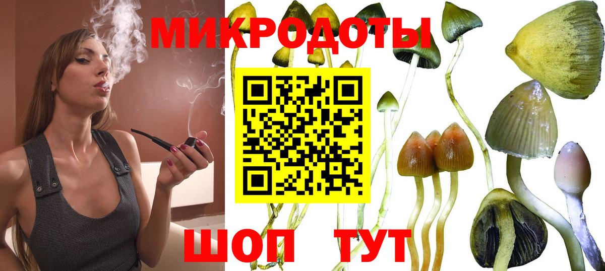 Тулун  Псилоцибиновые грибы ЛСД  Вход с VPN 